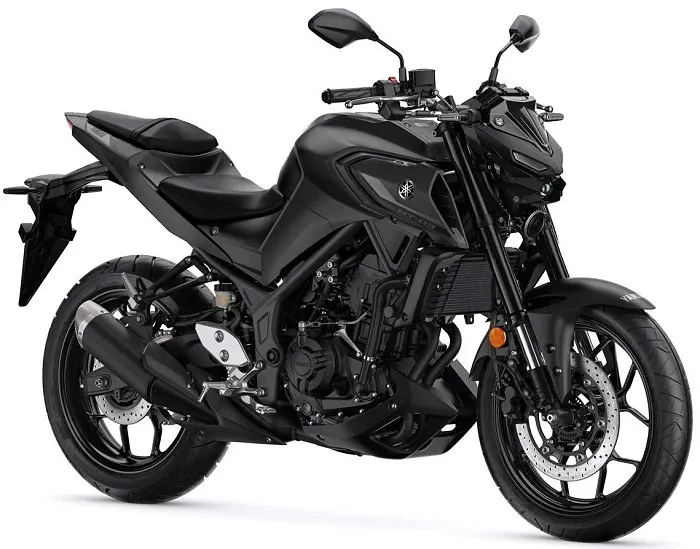 moto mt 03